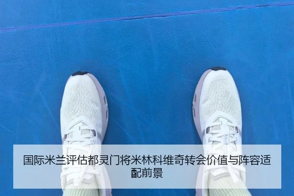 国际米兰评估都灵门将米林科维奇转会价值与阵容适配前景
