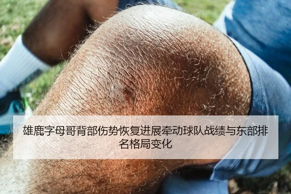 雄鹿字母哥背部伤势恢复进展牵动球队战绩与东部排名格局变化