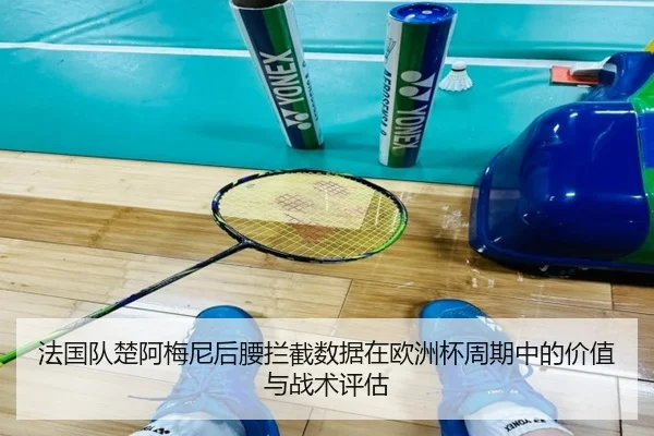 法国队楚阿梅尼后腰拦截数据在欧洲杯周期中的价值与战术评估